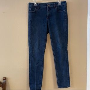 Loft Women’s Pants